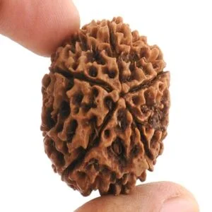 5 Mukhi Rudraksha Mala 100 % Original and Lab Certified