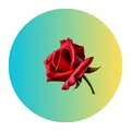 Category icons 2