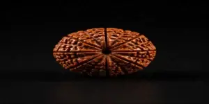 Benefits of 11 mukhi rudraksha